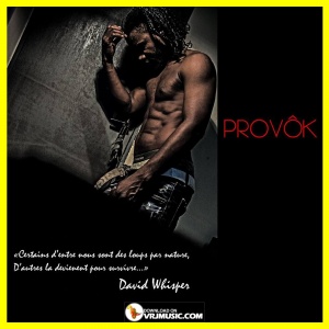 Provok